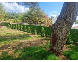 Technology leadership in CR industry grass fence production