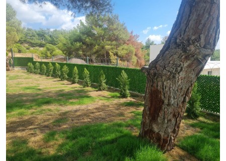 Technology leadership in CR industry grass fence production